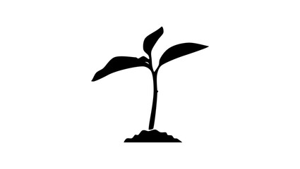 Tree sapling, sprout, black isolated silhouette - obrazy, fototapety, plakaty