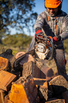 image of a man in front of the camera with a beard, orange helmet and protective equipment, cutting firewood with his chainsaw to collect it for the winter