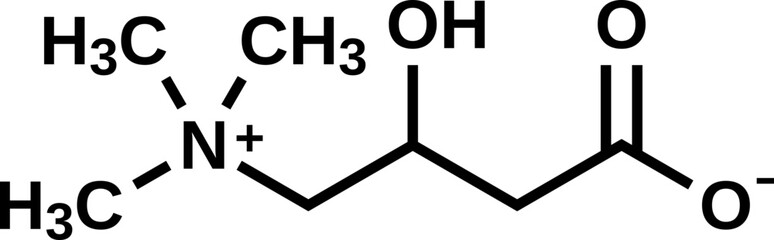 Levocarnitine structural formula, vector illustration
