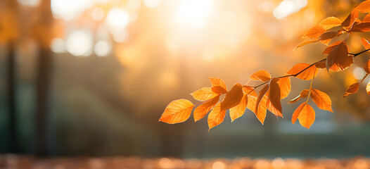 autumn leaves in the forest ai generative