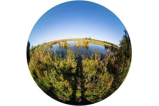 Rural view of a lake overgrown with reeds, shot through a circular fisheye lens in an extreme wide angle