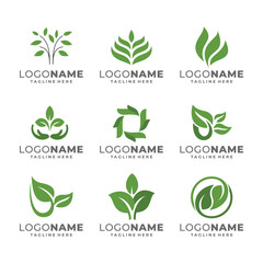 Green leaf logo icon vector design