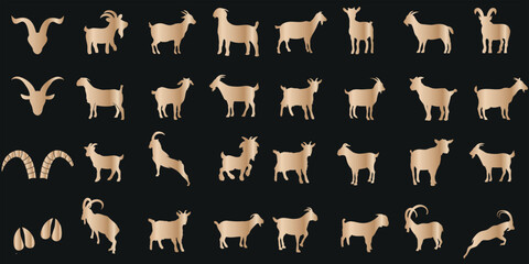 Illustration vectorielle de chèvre, présentant diverses races de chèvres. Parfait pour l’élevage de chèvres, la reproduction et l’entretien. Idéal pour l’industrie du lait, du fromage et de la viande - obrazy, fototapety, plakaty