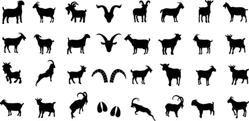 Goat breeds vector illustration, black and white silhouettes. Perfect for goat lovers, farmers, livestock enthusiasts. Features boer, alpine, nubian, pygmy, angora, saanen, toggenburg, oberhasli, la m