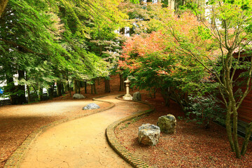 amazing autumn Scenery with colorful Maple trees and path and rocks in the park