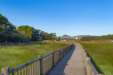 Fototapeta premium wooden walkway or bridge over the marshes
