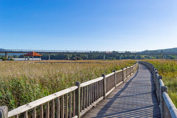 wooden walkway or bridge over the marshes