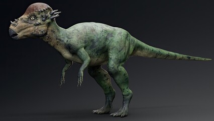 Pachycephalosaurus render of background. 3d rendering