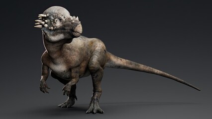 Pachycephalosaurus render of background. 3d rendering