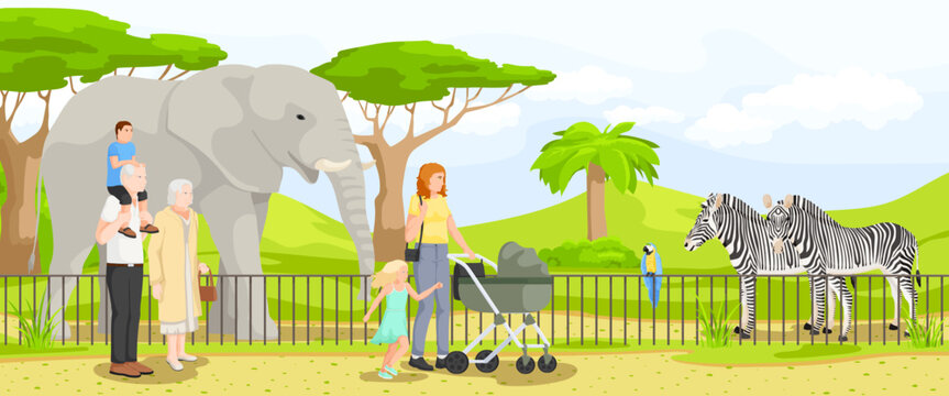Cartoon savannah zoo, wildlife animals, green nature. Huge elephant, cute zebra. African landscape. Safari tour, old woman and man with grandson. Mother with daughter. Vector illustration