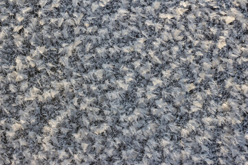 Large crystalline frost on river ice on a frosty day