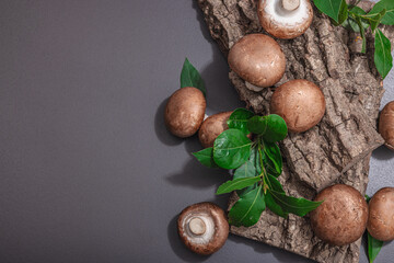 Royal champignons on oak tree bark with fresh green bay leaves. Ingredient for cooking vegan food