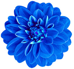 Blue   dahlia. Watercolor flower on  isolated background with clipping path.  For design.  Closeup. Transparent background.  Nature.