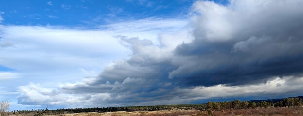 field and blue sky in this summer cloudy day