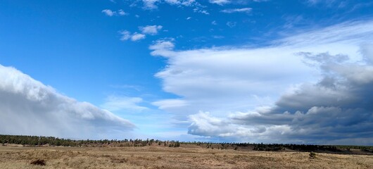 field and blue sky in this summer cloudy day