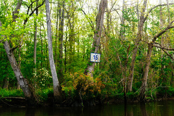 A milepost sign on a tree along the Cape Fear River in North Carolina