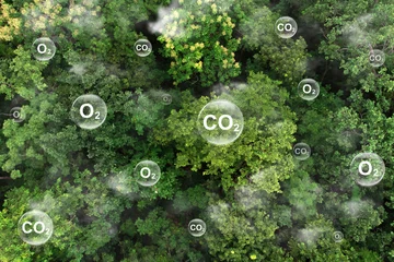 Fotobehang Reduce CO2 emissions to limit climate change and global warming. Tree canopy against oxygen O2 and carbon dioxide CO2 molecules.net zero.Carbon dioxide absorption and oxygen release concept © Pcess609