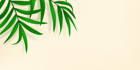 Fototapeta na wymiar Bright palm leaves overlay. Foliage with sunlight. Presentation with mock up, copy space, template. Realistic plant. Tropical tree leaf. Beige background. Vector illustration