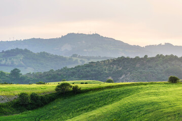 Naklejka premium lucani countryside landscpe during the springtime, Basilicata, Italy