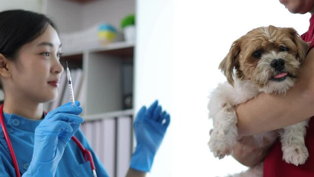 Veterinarian is vaccinating a dog.