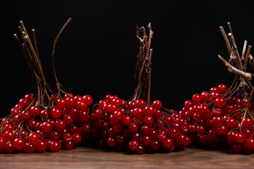A bunch of ripe viburnum berries on a black background close-up
