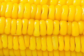 Close-up Boiled Corn on the cob