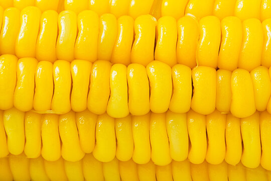 Close-up Boiled Corn on the cob
