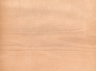 maple, Brown color wood wall material burr surface texture background Pattern Abstract wooden, top...