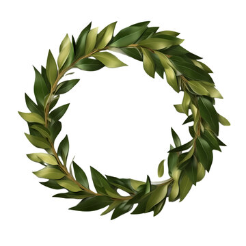 Laurel wreath created from fresh branches of bay leaves isolated on a transparent background