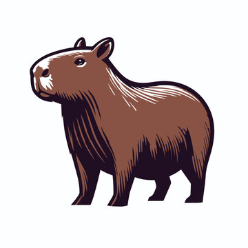 photos of the capybara or greater capybara, the largest living rodent, capybara illustrations and vectors for prints and publications, capybara graphic resources