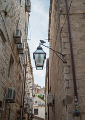 Pigeon perched on lantern in the narrow street of Dubrovnik Old Town