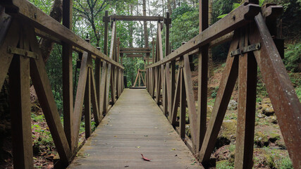 Fototapeta na wymiar old wooden bridge in deep forest, natural vintage background
