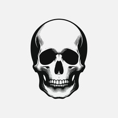 Skull vector illustration solid