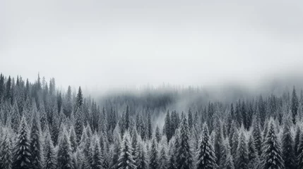 Deurstickers A snowy evergreen forest under a cloudy sky capturing the simplicity and monochromatic beauty of winter landscapes  AI generated illustration © ArtStage
