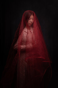 fine art classic renaissance christmas portrait of woman with red veil