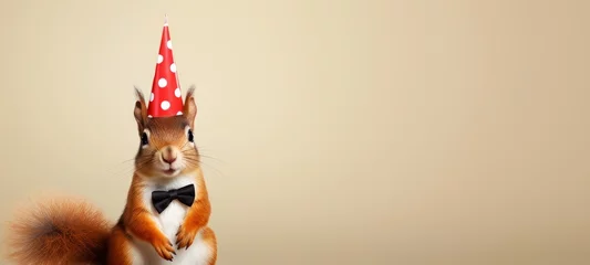 Rolgordijnen Celebration, happy birthday, Sylvester New Year's eve party, funny animal banner greeting card - Cute funny standing red squirrel with party hat and bow tie, isolated on beige background texture © Corri Seizinger