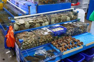 Shellfish from the Korean Fish Market