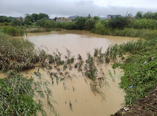 Flooding after heavy rain. Dirty brown water flooded the lowlands in the village. A sharp increase...