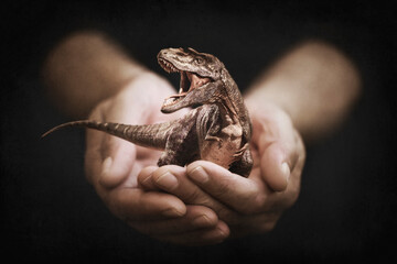 Close-up of a person's hands holding a miniature roaring tyrannosaurus rex dinosaur