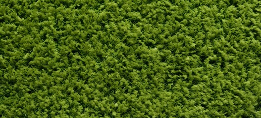 Vibrant Green Carpet of Nature Lush Trees in Close-up View for Serene Landscapes and Outdoor Scenes Generative AI
