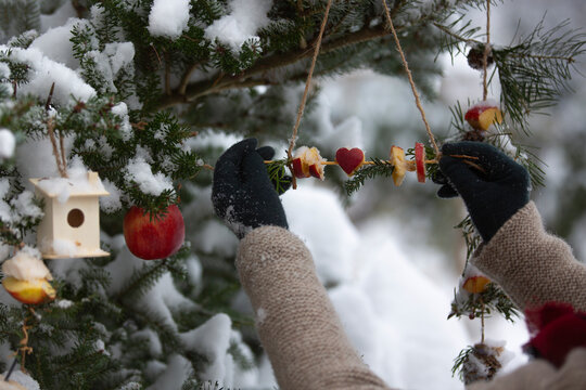 Bird food. Woman feeds birds in winter. 