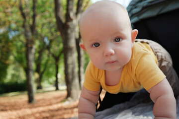 A cute baby in a stroller stands on his stomach, leaning on his hands. In the background is a blurry autumn park. Portrait of a cute baby in a stroller outdoors. Place for text.