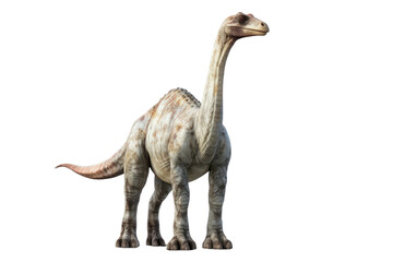 Brachiosaurus Towering Titan on a White or Clear Surface PNG Transparent Background - obrazy, fototapety, plakaty