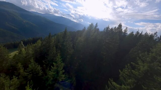 Aerial cinematic FPV drone quadcopter footage flying low across the treetops, tree surfing fun with racing quad in the styrian alps 