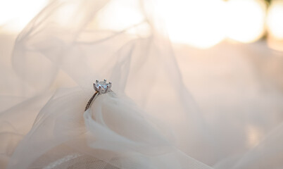 Diamond engagement wedding rings on bridal veil. Wedding accessories, Valentine's day and Wedding...