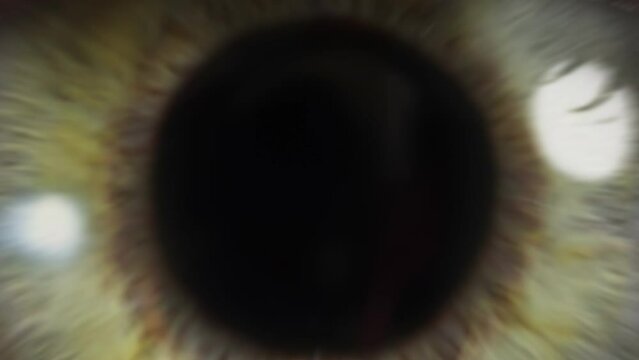 Healthy Eyesight concept. Beautiful Green Blinking Eye. Zoom in to an Infinite Black and Zoom out to Macro Close up. Eye Iris, Black Pupil Opening.
