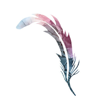 Clipart Feathers