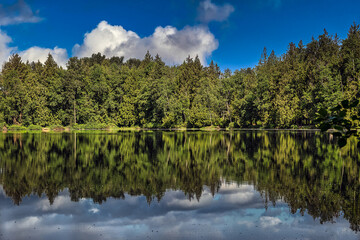 2023-11-28 A VIEW OF THE TREE LINED TWIN LAKES WITH A NICE SKY AND THE TREES REFLECTION IN THE...