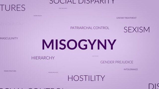 Unveiling Perspectives: A Dynamic Zoom into Misogyny Related Themes