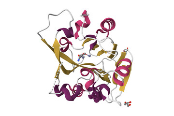 Crystal structure of quorum-quenching N-acyl homoserine lactone lactonase with the substrate bound. 3D cartoon model, PDB 2br6, secondary structure color scheme